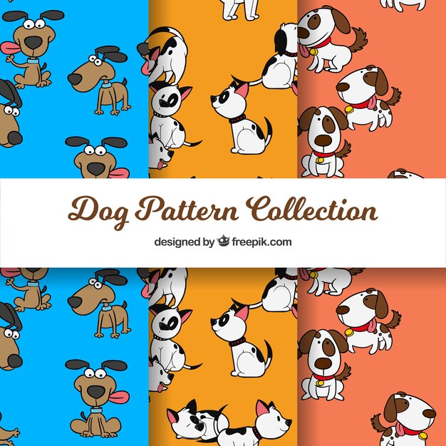 Conjunto de patrones de perros