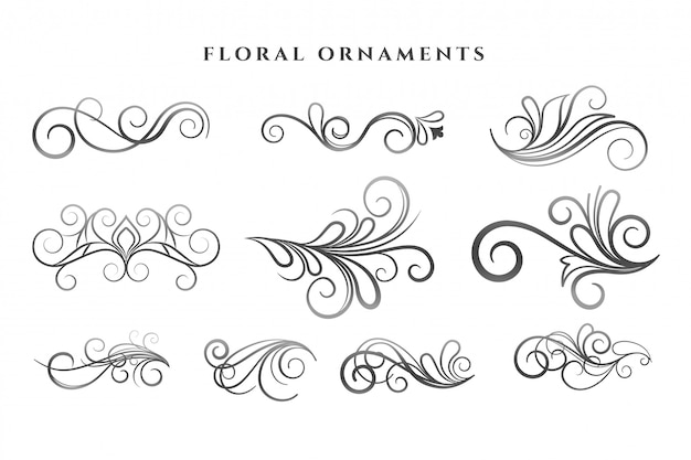 Conjunto de patrones de remolinos de decoración de adornos florales