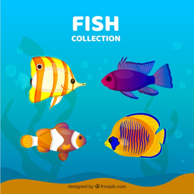 Vector gratuito conjunto de peces coloridos en estilo hecho a mano