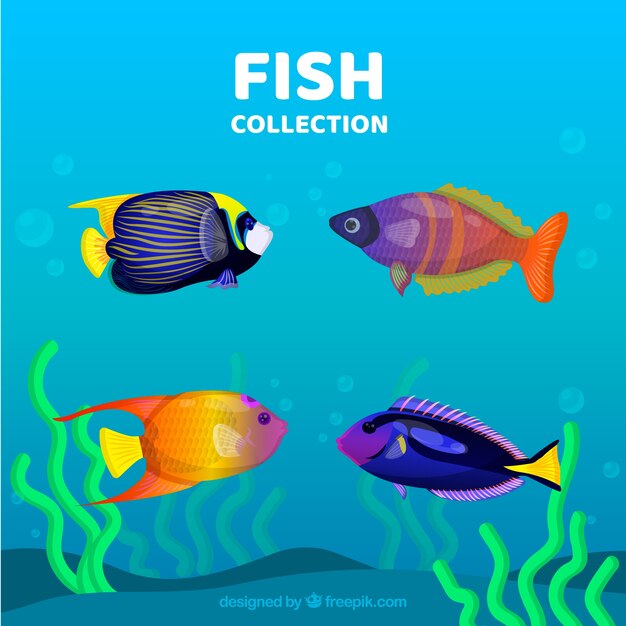 Conjunto de peces coloridos en estilo hecho a mano