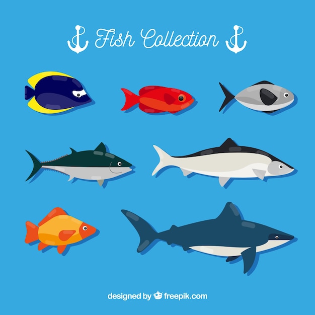 Vector gratuito conjunto de peces coloridos en estilo hecho a mano