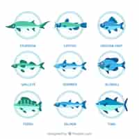 Vector gratuito conjunto de peces coloridos en estilo hecho a mano