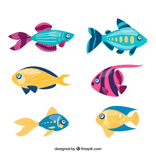 Conjunto de peces coloridos en estilo hecho a mano