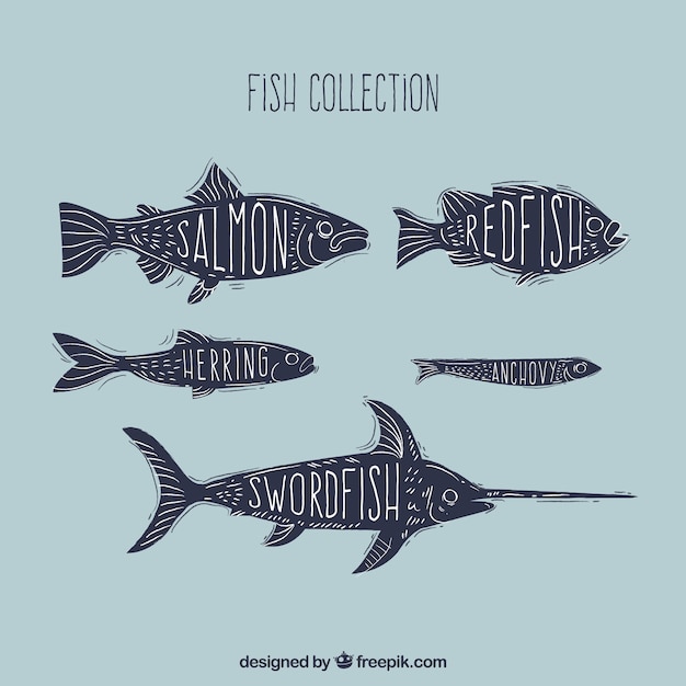 Vector gratuito conjunto de peces coloridos en estilo hecho a mano