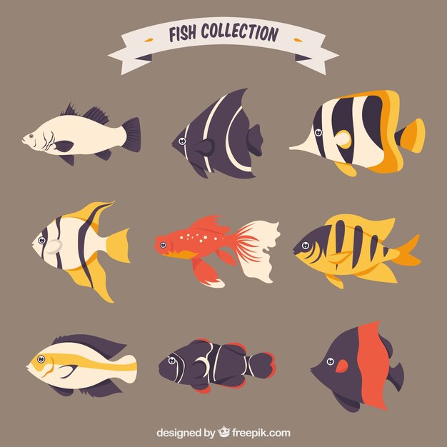 Conjunto de peces coloridos en estilo plano