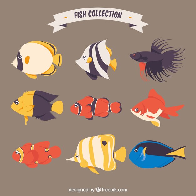 Conjunto de peces coloridos en estilo plano