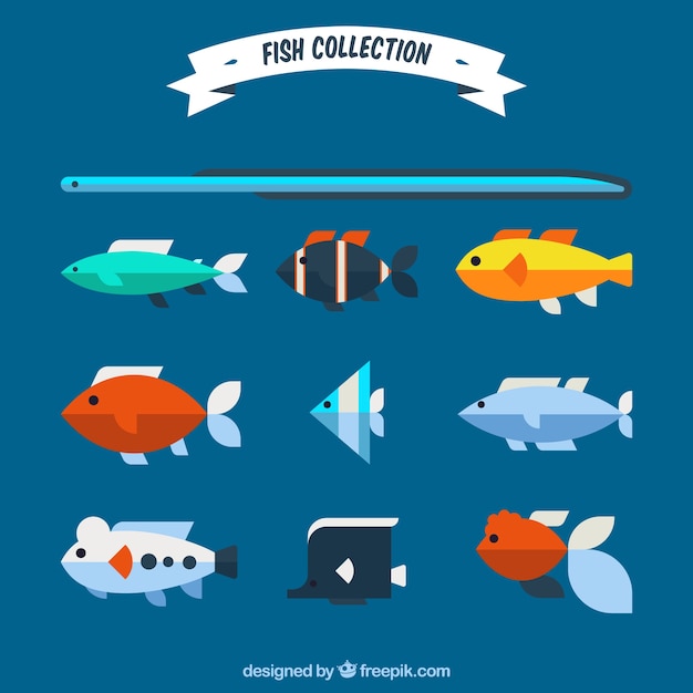 Vector gratuito conjunto de peces coloridos en estilo plano