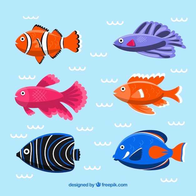 Conjunto de peces coloridos en estilo plano