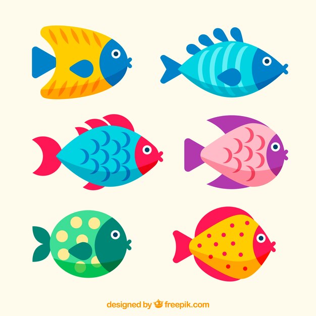 Conjunto de peces coloridos en estilo plano