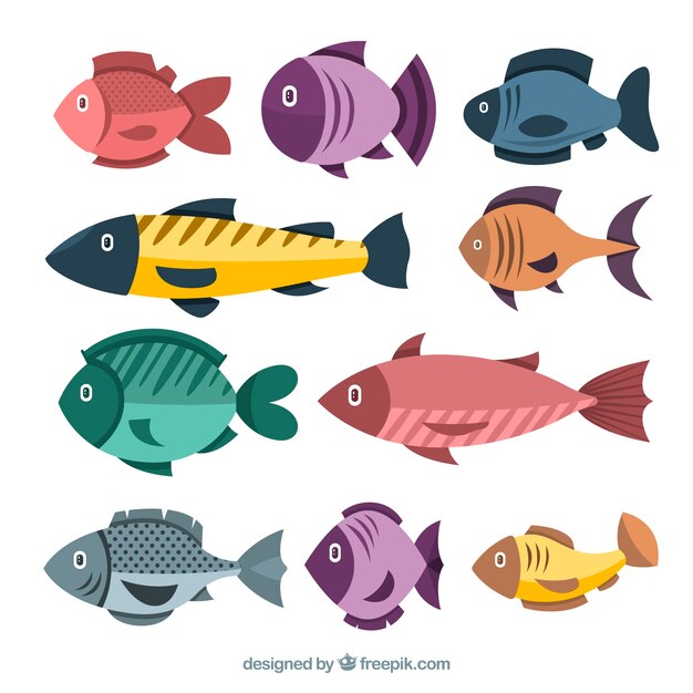 Conjunto de peces coloridos en estilo plano