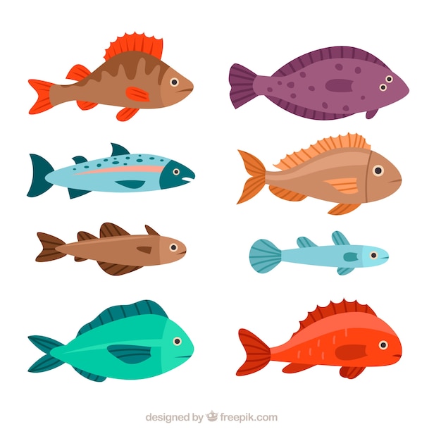 Conjunto de peces coloridos en estilo plano