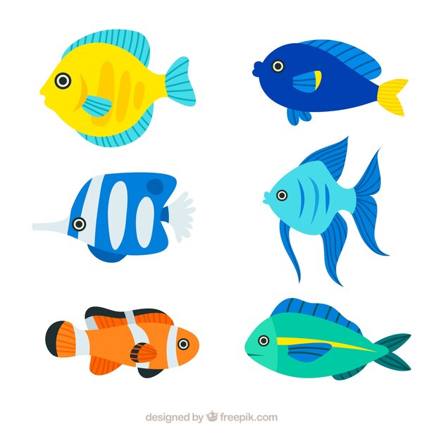 Conjunto de peces coloridos en estilo plano