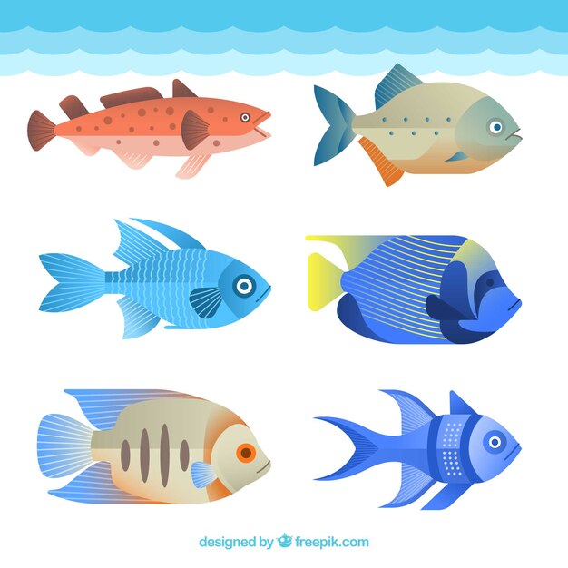 Conjunto de peces coloridos en estilo plano