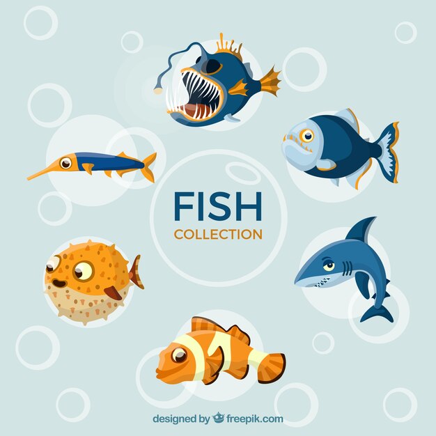 Conjunto de peces coloridos en estilo plano