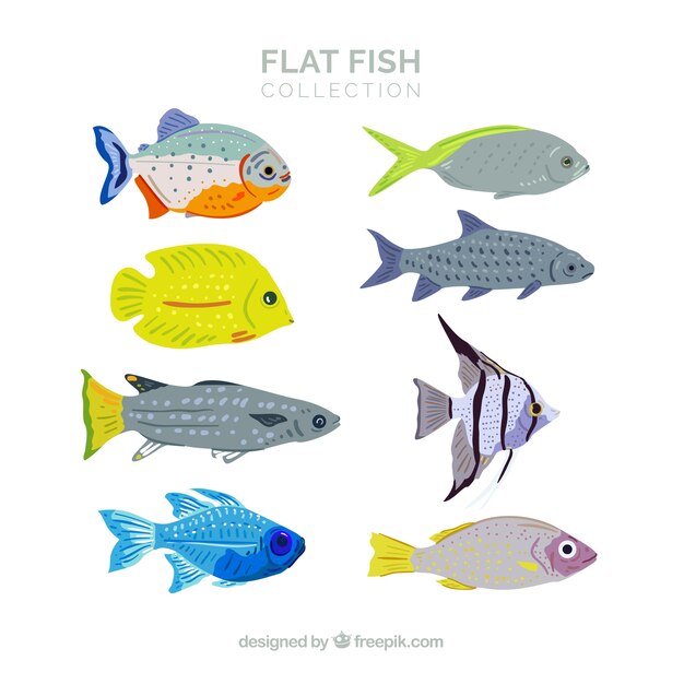 Conjunto de peces coloridos en estilo plano