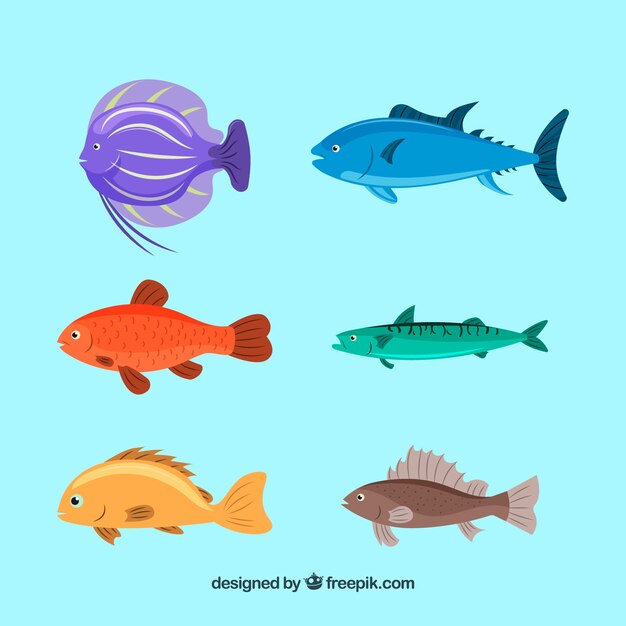 Conjunto de peces coloridos en estilo plano