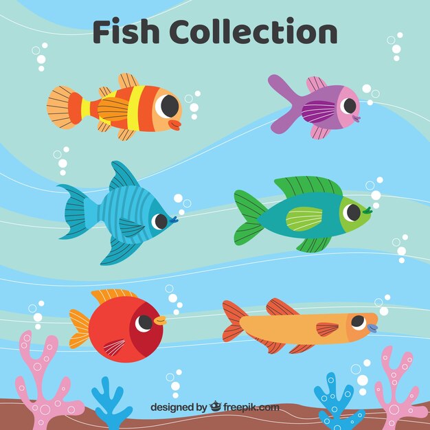 Conjunto de peces coloridos en estilo plano