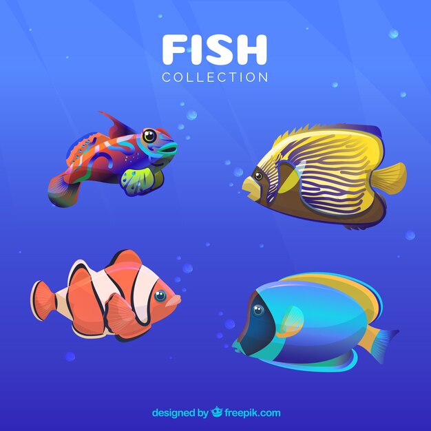 Conjunto de peces coloridos en estilo plano