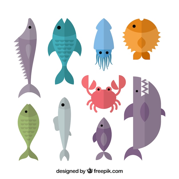 Vector gratuito conjunto de peces coloridos en estilo plano