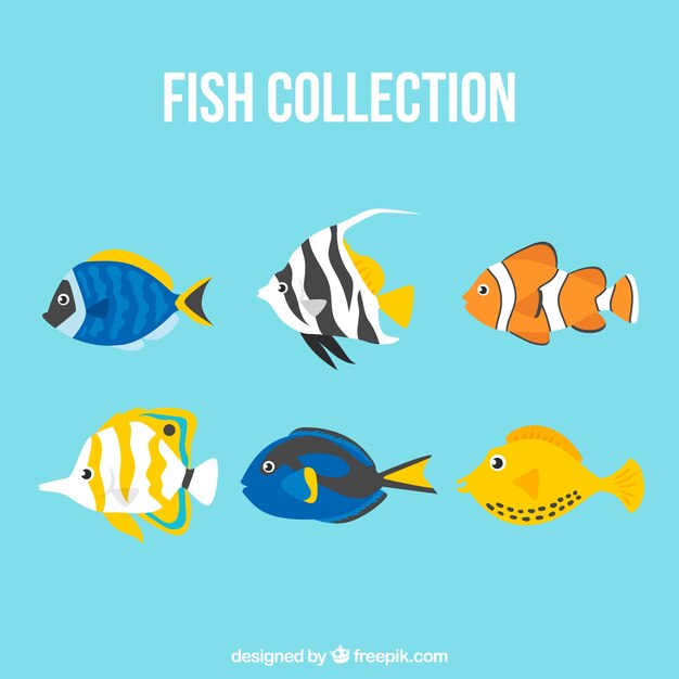 Conjunto de peces coloridos en estilo plano