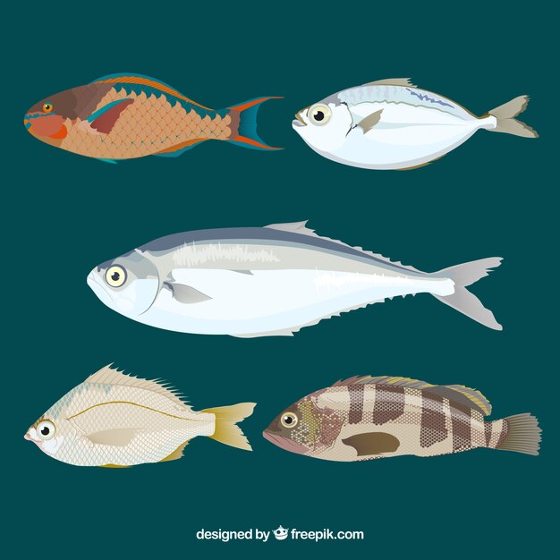Conjunto de peces coloridos en estilo plano