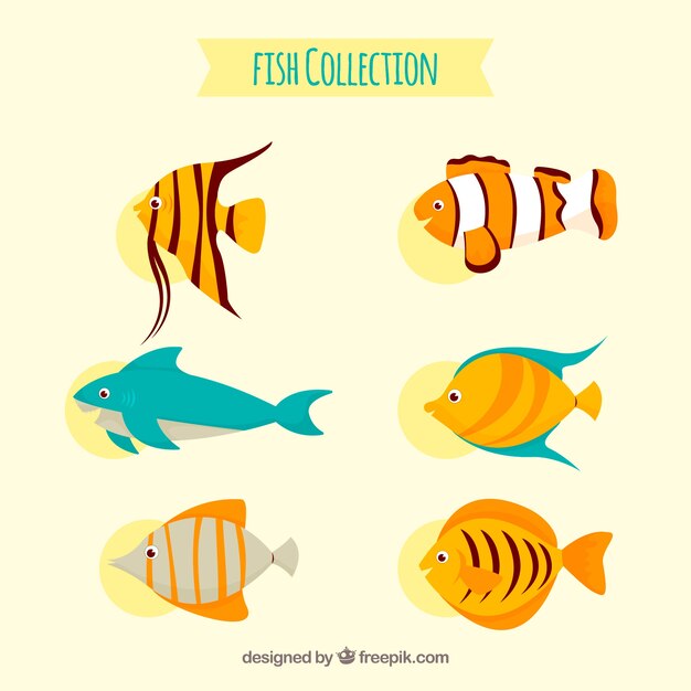 Conjunto de peces coloridos en estilo plano