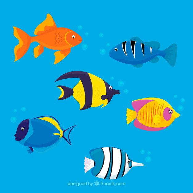 Conjunto de peces coloridos en estilo plano
