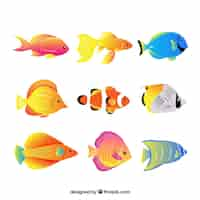 Vector gratuito conjunto de peces coloridos en estilo plano