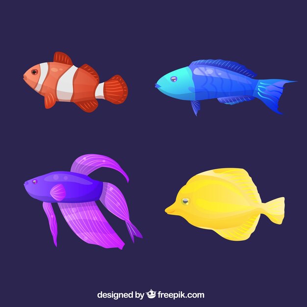 Conjunto de peces coloridos