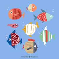 Vector gratuito conjunto de peces dibujados a mano