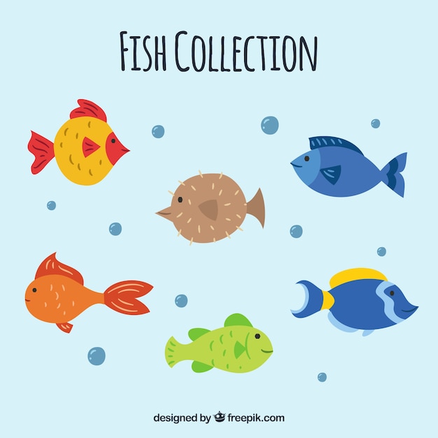 Conjunto de peces en diferentes colores
