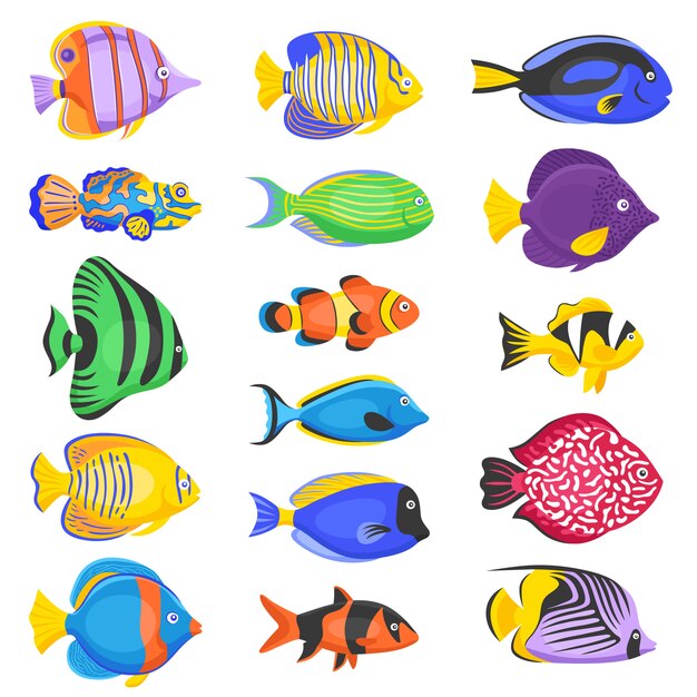 Conjunto de peces exóticos