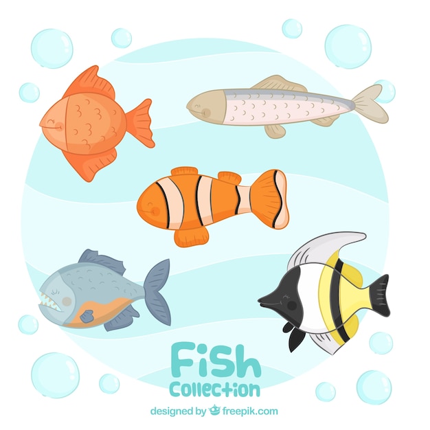 Vector gratuito conjunto de peces felices