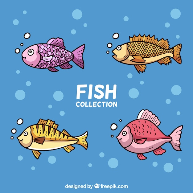 Vector gratuito conjunto de peces