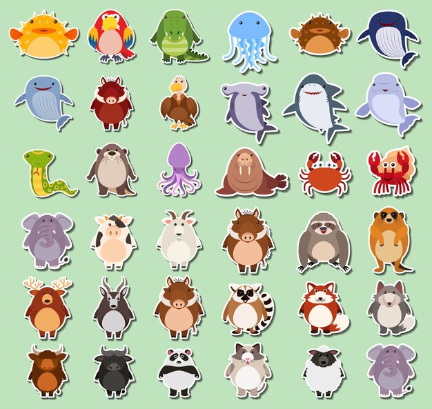 Conjunto de pegatina de animales.