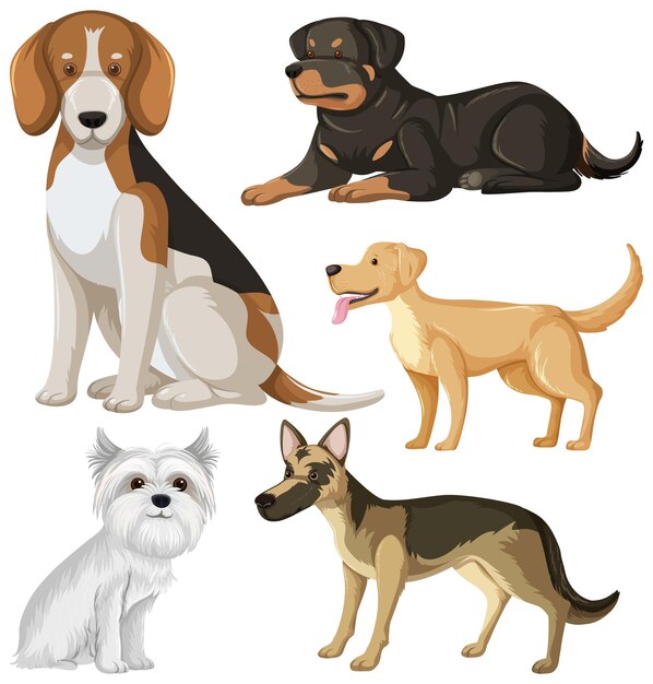 conjunto, de, perro, razas de perros, caricatura