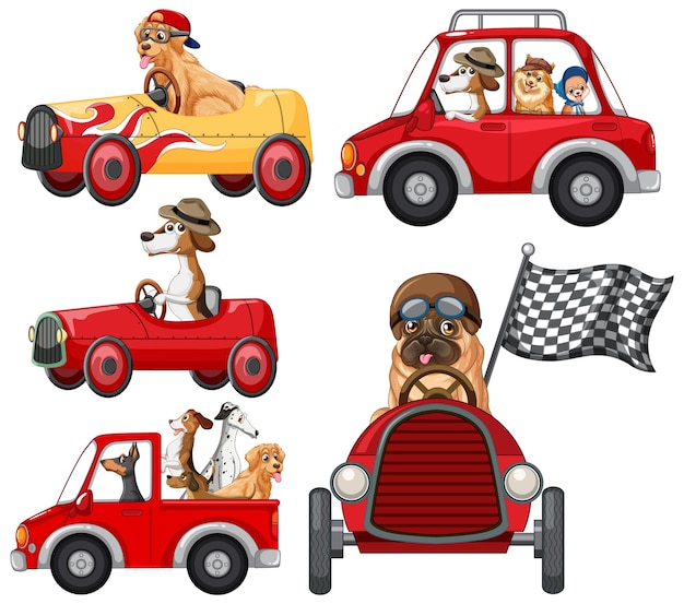 Vector gratuito conjunto de perros en diferentes coches rojos.
