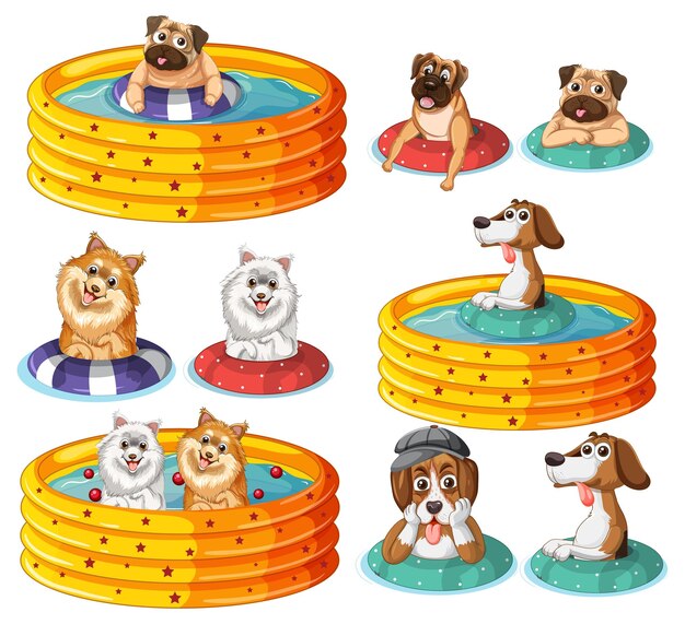 Conjunto de perros en piscina amarilla