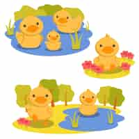 Vector gratuito conjunto de personaje animal con un pato jugando en el agua y en el jardín de flores.