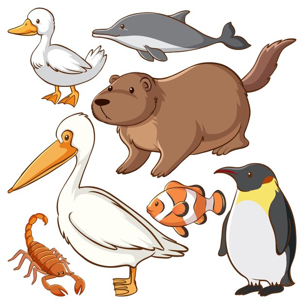 Conjunto de personaje de dibujos animados de animales simples