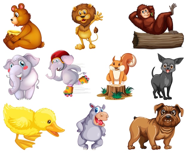 Conjunto de personaje de dibujos animados de animales