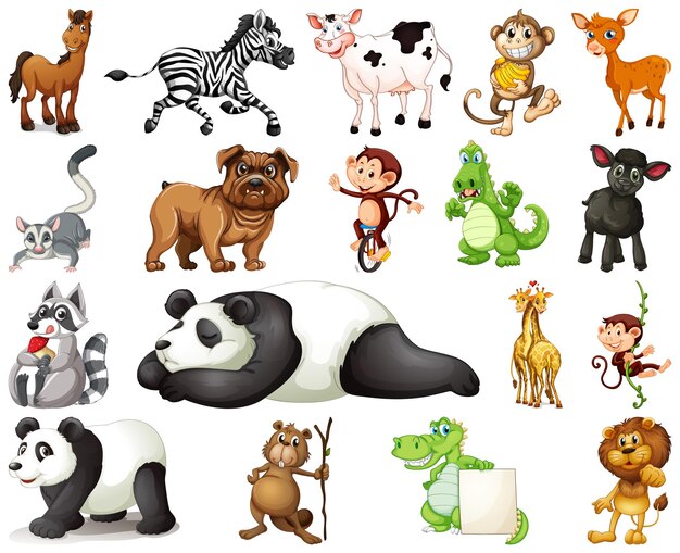 Conjunto de personaje de dibujos animados de animales