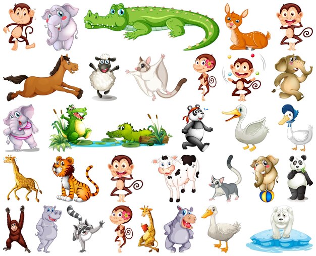 Conjunto de personaje de dibujos animados de animales