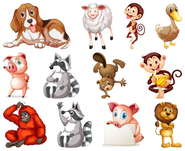 Conjunto de personaje de dibujos animados de animales