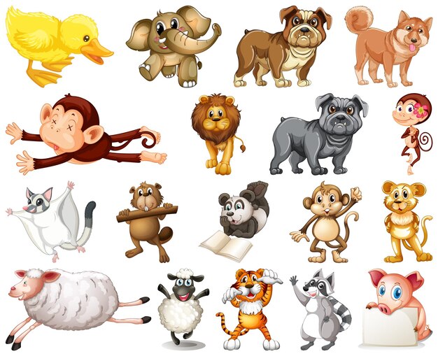 Conjunto de personaje de dibujos animados de animales