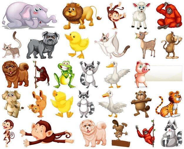 Conjunto de personaje de dibujos animados de animales
