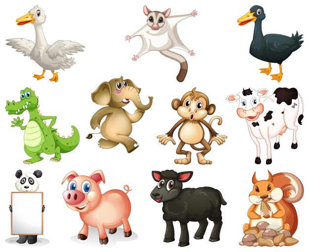 Conjunto de personaje de dibujos animados de animales