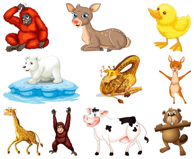 Conjunto de personaje de dibujos animados de animales