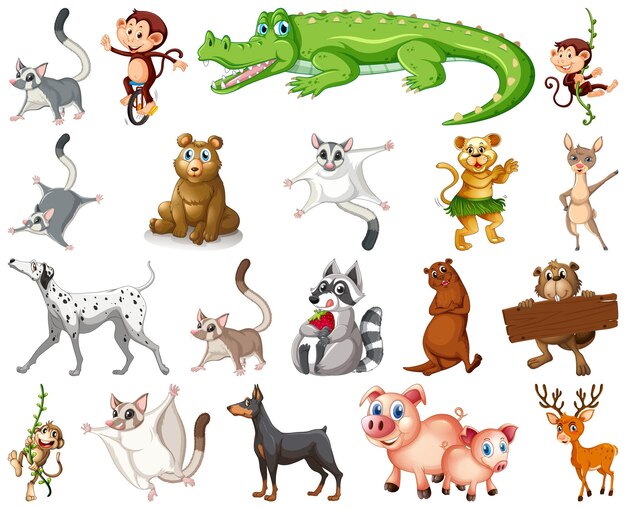 Conjunto de personaje de dibujos animados de animales