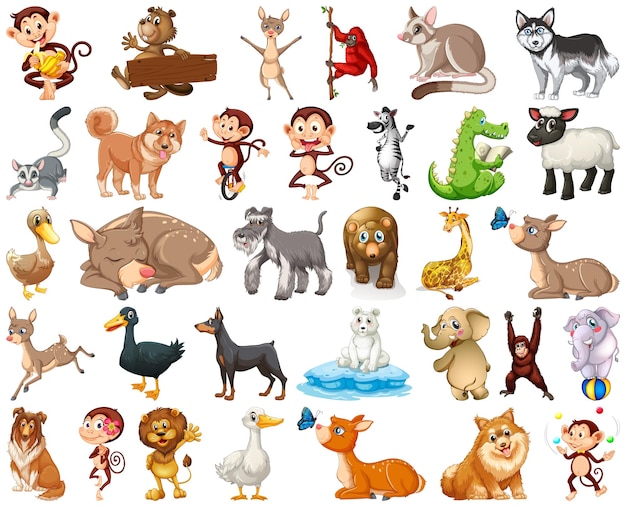Conjunto de personaje de dibujos animados de animales